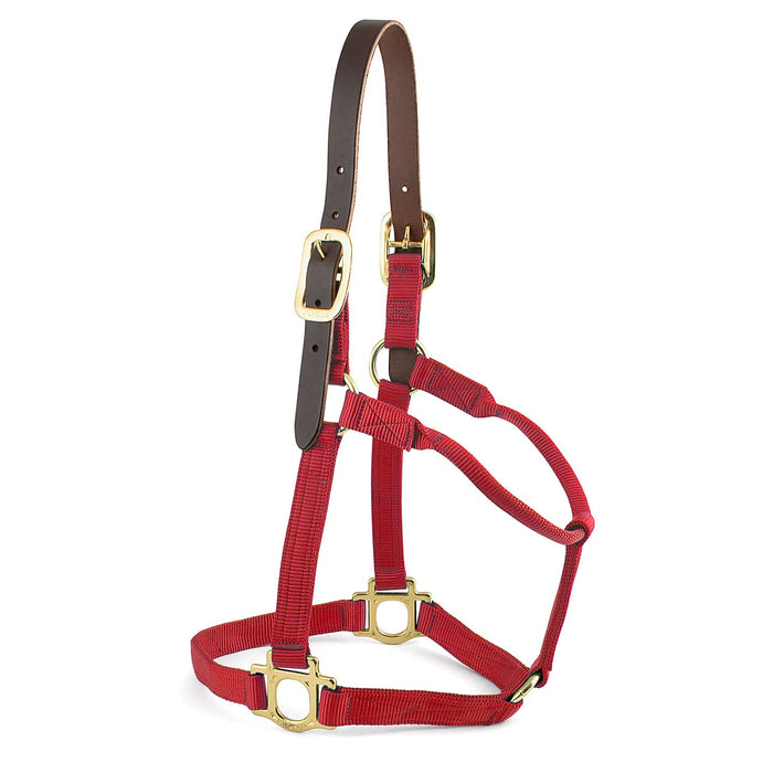 Valhoma Premium Breakaway Nylon Horse Halter with Leather Crown & Brass Hardware