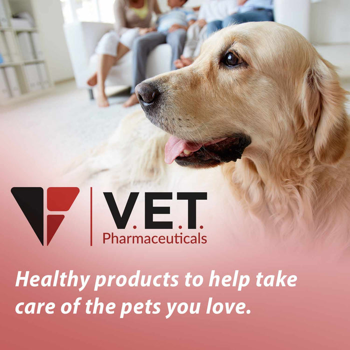 HemaBlock Hemostatic Powder, 0.5 gm Syringe Applicators, 5 pk