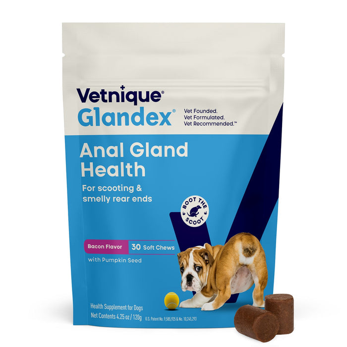 Glandex Anal Gland Health Soft Chews for Dogs