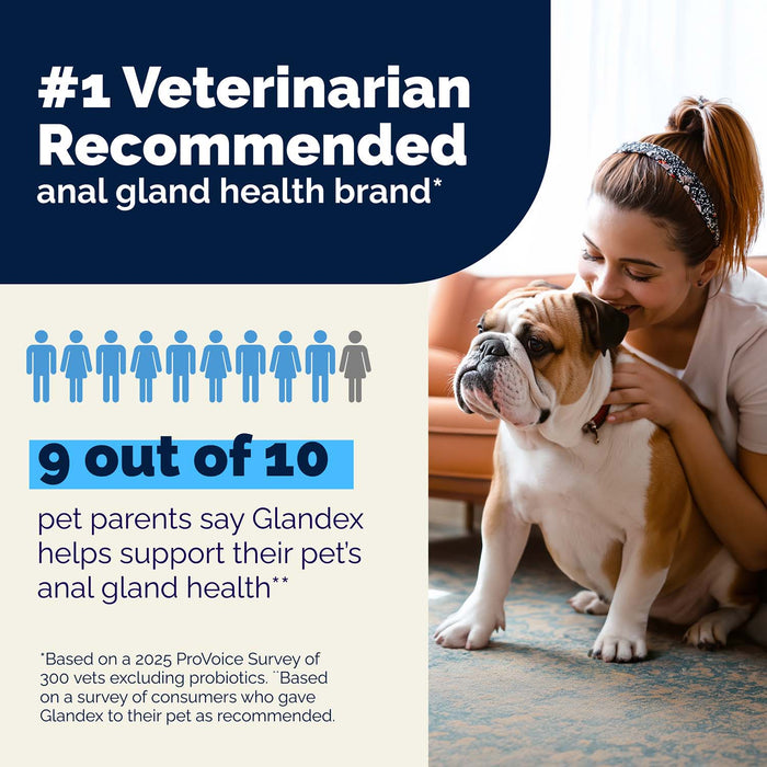 Glandex Advanced Vet Strength Anal Gland Health Powder for Dogs, Duck & Bacon Flavor