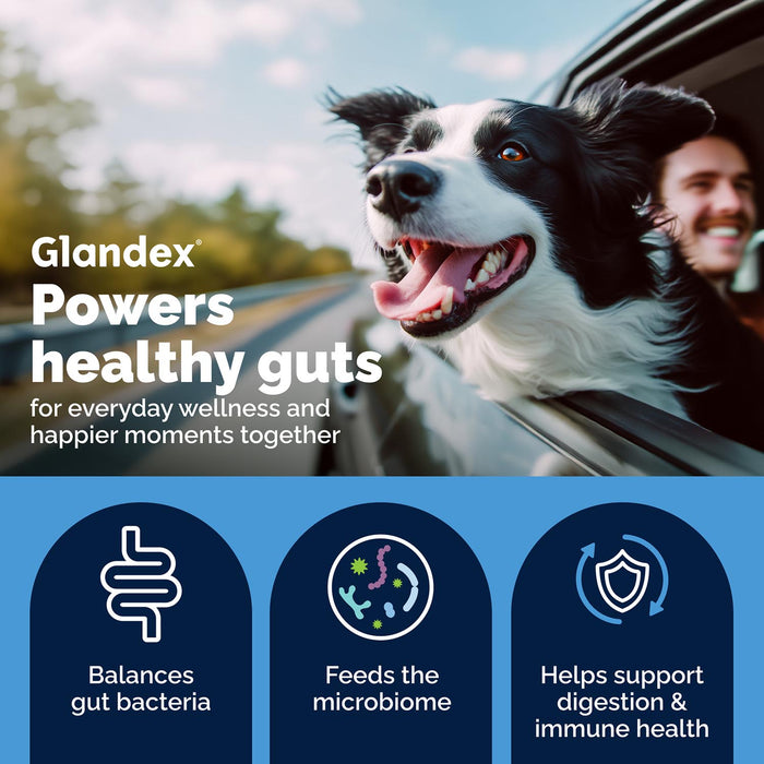 Glandex Daily Prebiotic & Probiotic Powder for Dogs, Pork Flavor
