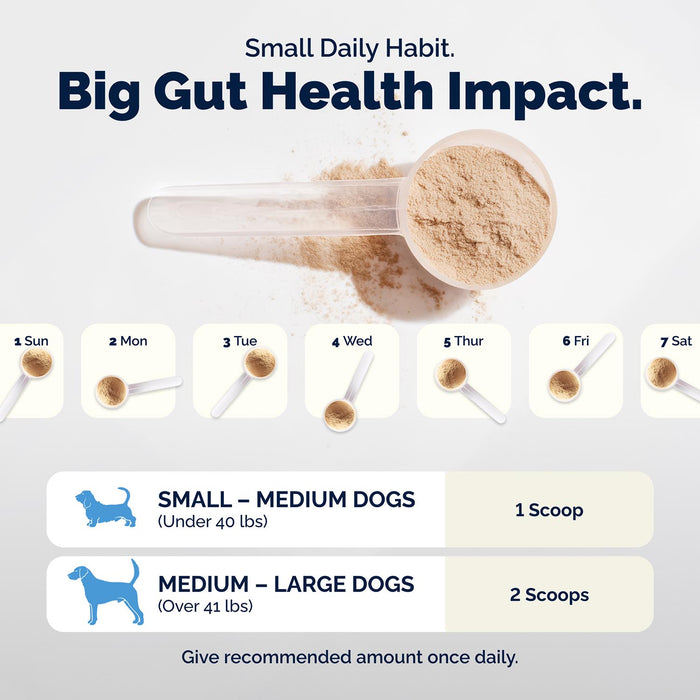 Glandex Daily Prebiotic & Probiotic Powder for Dogs, Pork Flavor
