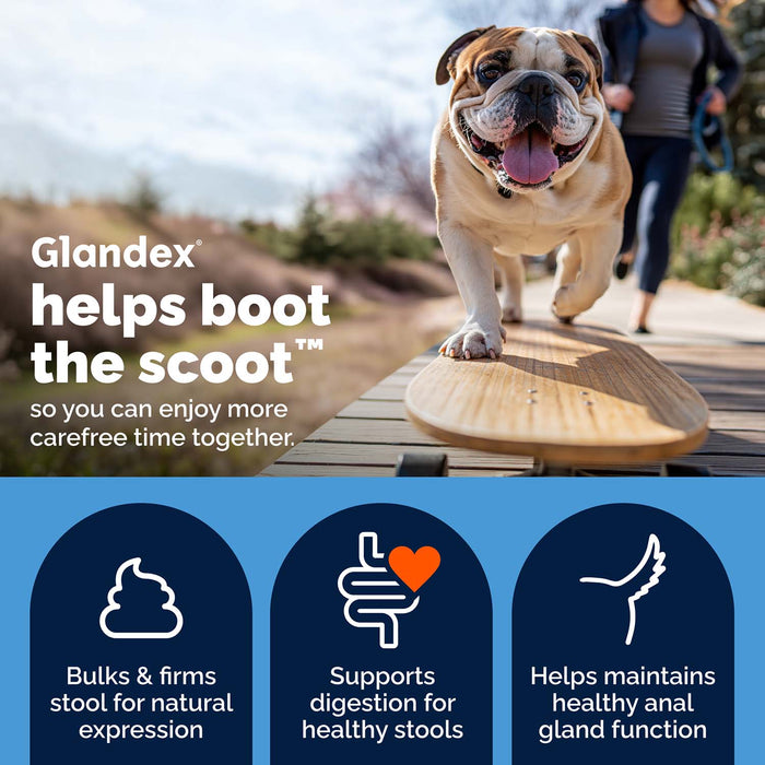 Glandex Advanced Vet Strength Anal Gland Health Soft Chews for Dogs, Duck & Bacon Flavor