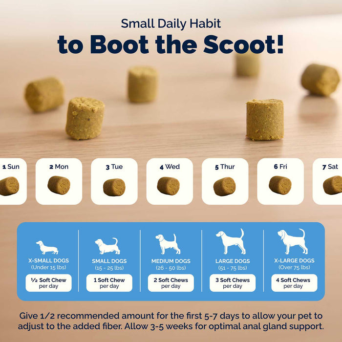 Glandex Advanced Vet Strength Anal Gland Health Soft Chews for Dogs, Duck & Bacon Flavor