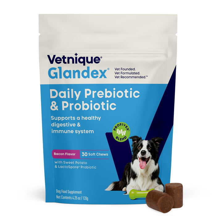 Glandex Daily Prebiotic & Probiotic Soft Chews for Dogs, Bacon Flavor