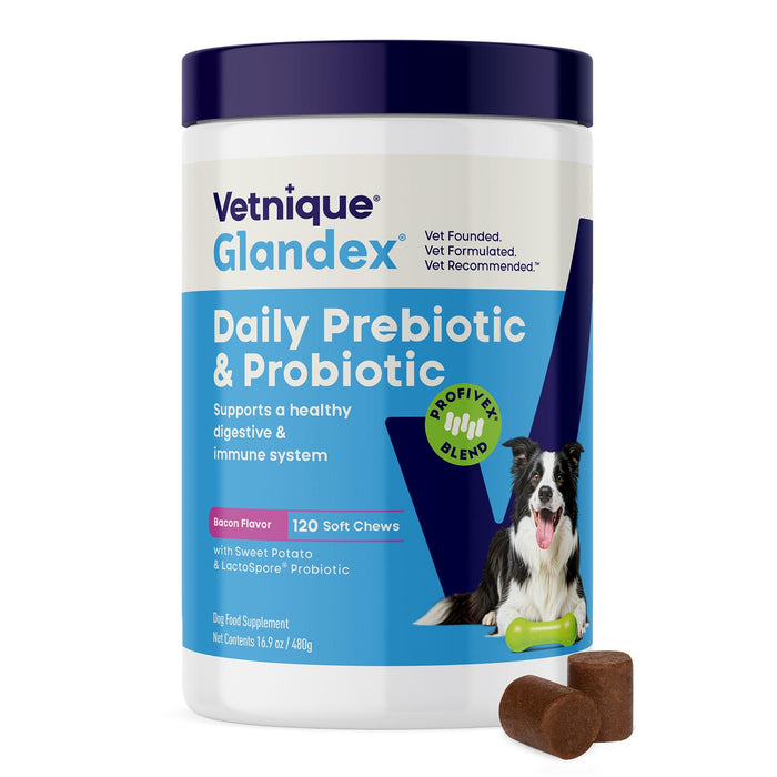 Glandex Daily Prebiotic & Probiotic Soft Chews for Dogs, Bacon Flavor