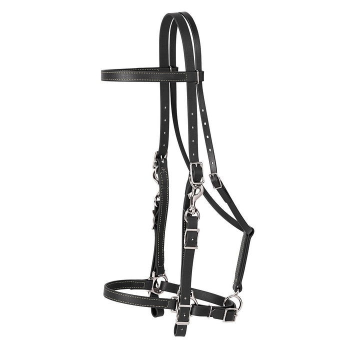 Brahma Webb Trail Gear Horse Halter Bridle Combo