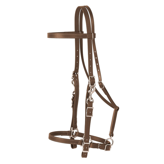 Brahma Webb Trail Gear Horse Halter Bridle Combo