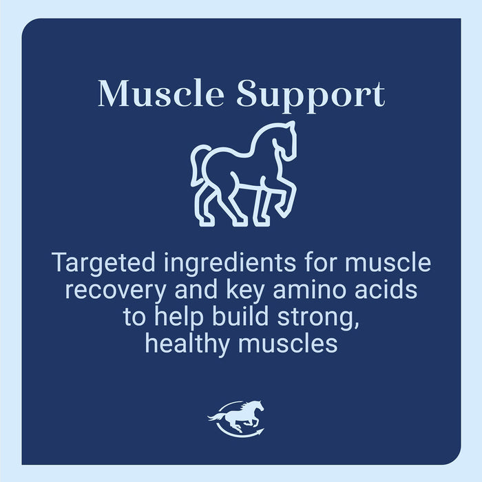 Acetyl L - Carnitine HCL Muscle Support for Horses, Powder - SMACN - 1 lb - 4