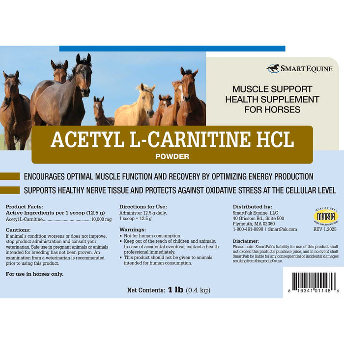 Acetyl L - Carnitine HCL Muscle Support for Horses, Powder - SMACN - 1 lb - 2