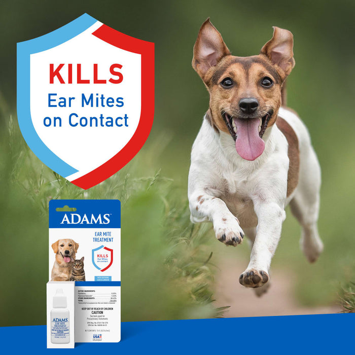 ADAMS Ear Mite Treatment For Dogs and Cats Over 12 Weeks, Soothing Aloe and Lanolin Formula, .5 Fl oz - FAAA1 - 0.5 fluid ounces - 1 - 3