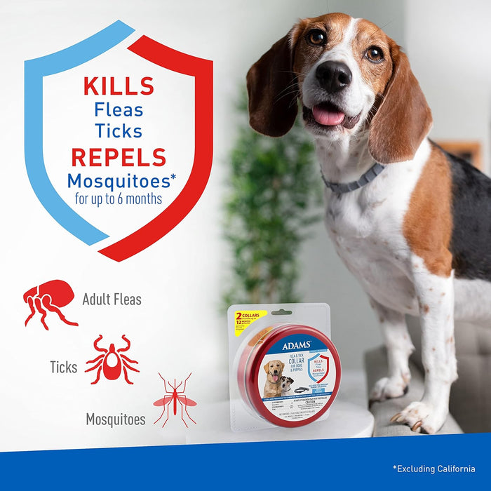 ADAMS Flea & Tick Collar for Dogs & Puppies, 2 Pack, 12 Months Protection, Adjustable One Size Collar Fits All Dogs 12 Weeks & Older - FAAAL - Ons Size Fits All - 2 - 5