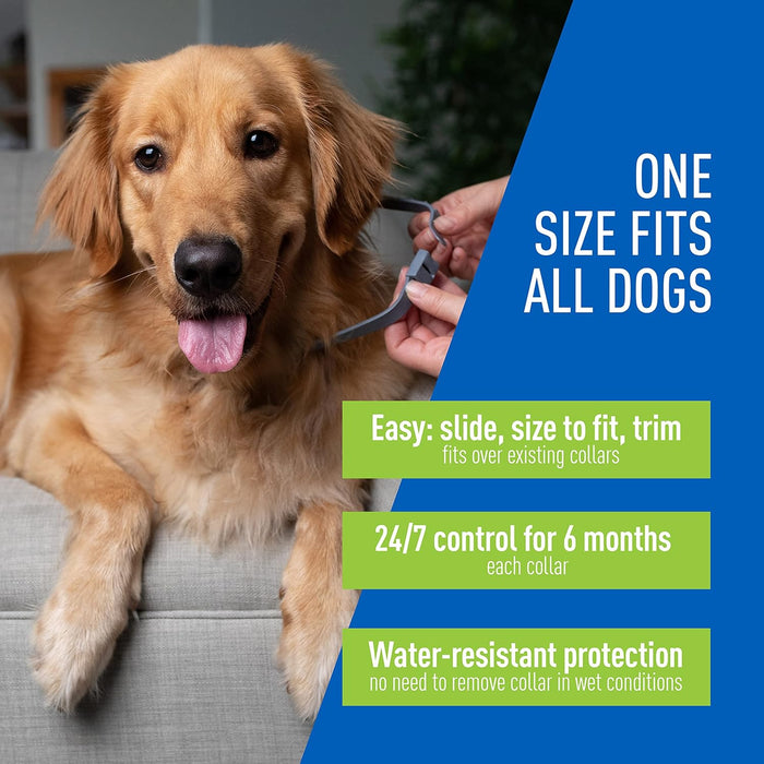 ADAMS Flea & Tick Collar for Dogs & Puppies, 2 Pack, 12 Months Protection, Adjustable One Size Collar Fits All Dogs 12 Weeks & Older - FAAAL - Ons Size Fits All - 2 - 6