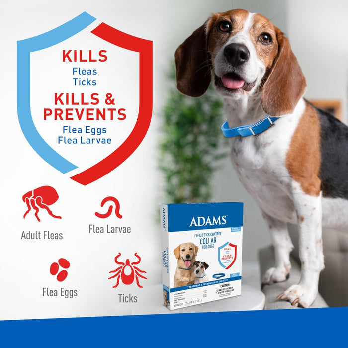 ADAMS Flea & Tick Control Collar for Dogs, 7 - Month Protection, Adjustable One Size Collar Fits All - FAAAH - One Size Fits All - 1 ct - 2