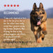 ADAMS Flea & Tick Control Collar for Dogs, 7 - Month Protection, Adjustable One Size Collar Fits All - FAAAH - One Size Fits All - 1 ct - 3
