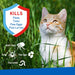 ADAMS Flea & Tick Spray For Cats, 16 oz - FAAAA - 16 oz - 1 - 2
