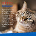 ADAMS Flea & Tick Spray For Cats, 16 oz - FAAAA - 16 oz - 1 - 5