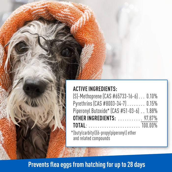 ADAMS Plus Flea & Tick Foaming Shampoo & Wash for Dogs & Puppies Over 12 Weeks, Sensitive Skin Flea Treatment, 10 oz - FAAAM - 10 oz - 1 - 6