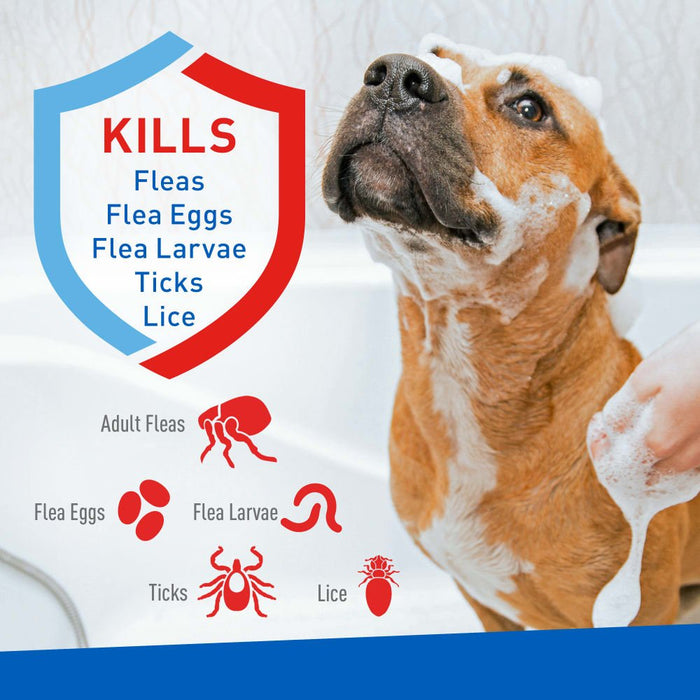 ADAMS Plus Flea & Tick Foaming Shampoo & Wash for Dogs & Puppies Over 12 Weeks, Sensitive Skin Flea Treatment, 10 oz - FAAAM - 10 oz - 1 - 2