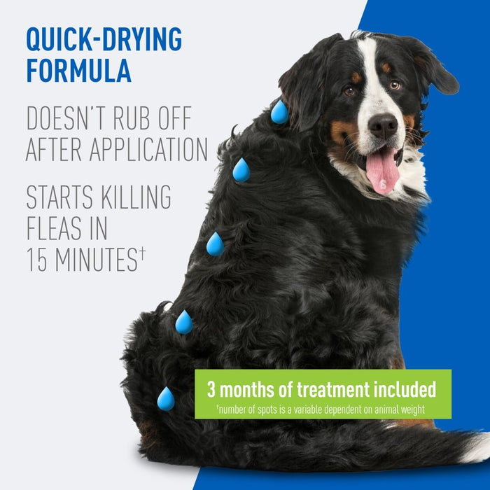 ADAMS Plus Flea & Tick Prevention Spot On for Dogs - FAAAP - X - Large Dogs 61 to 150 lbs - 3 pk (3 Month Supply) - 2