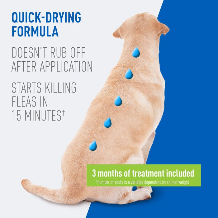 ADAMS Plus Flea & Tick Prevention Spot On for Dogs - FAAAQ - Large Dogs 31 to 60 lbs - 3 pk (3 Month Supply) - 14