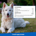 ADAMS Plus Flea & Tick Prevention Spot On for Dogs - FAAAQ - Large Dogs 31 to 60 lbs - 3 pk (3 Month Supply) - 16