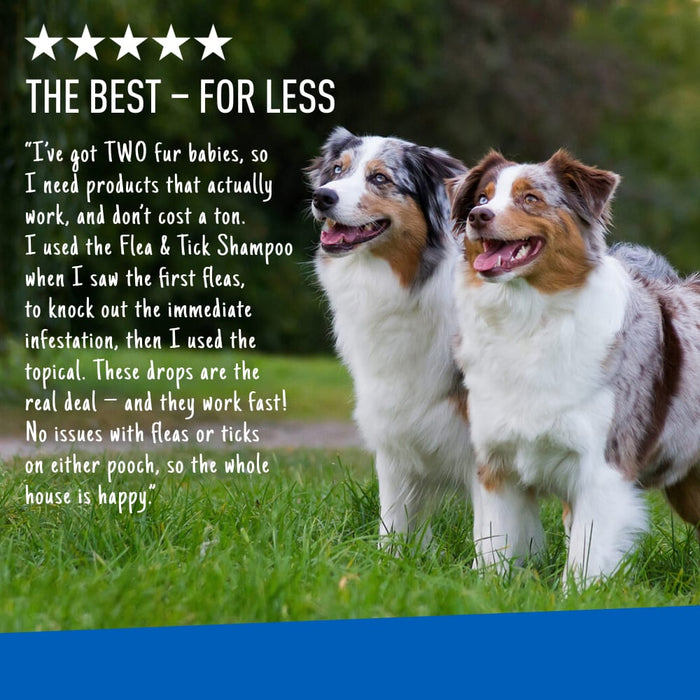 ADAMS Plus Flea & Tick Prevention Spot On for Dogs - FAAAS - Small Dog 5 to 14 lbs - 3 pk (3 Month Supply) - 8