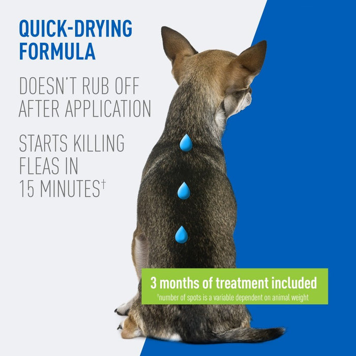 ADAMS Plus Flea & Tick Prevention Spot On for Dogs - FAAAS - Small Dog 5 to 14 lbs - 3 pk (3 Month Supply) - 5