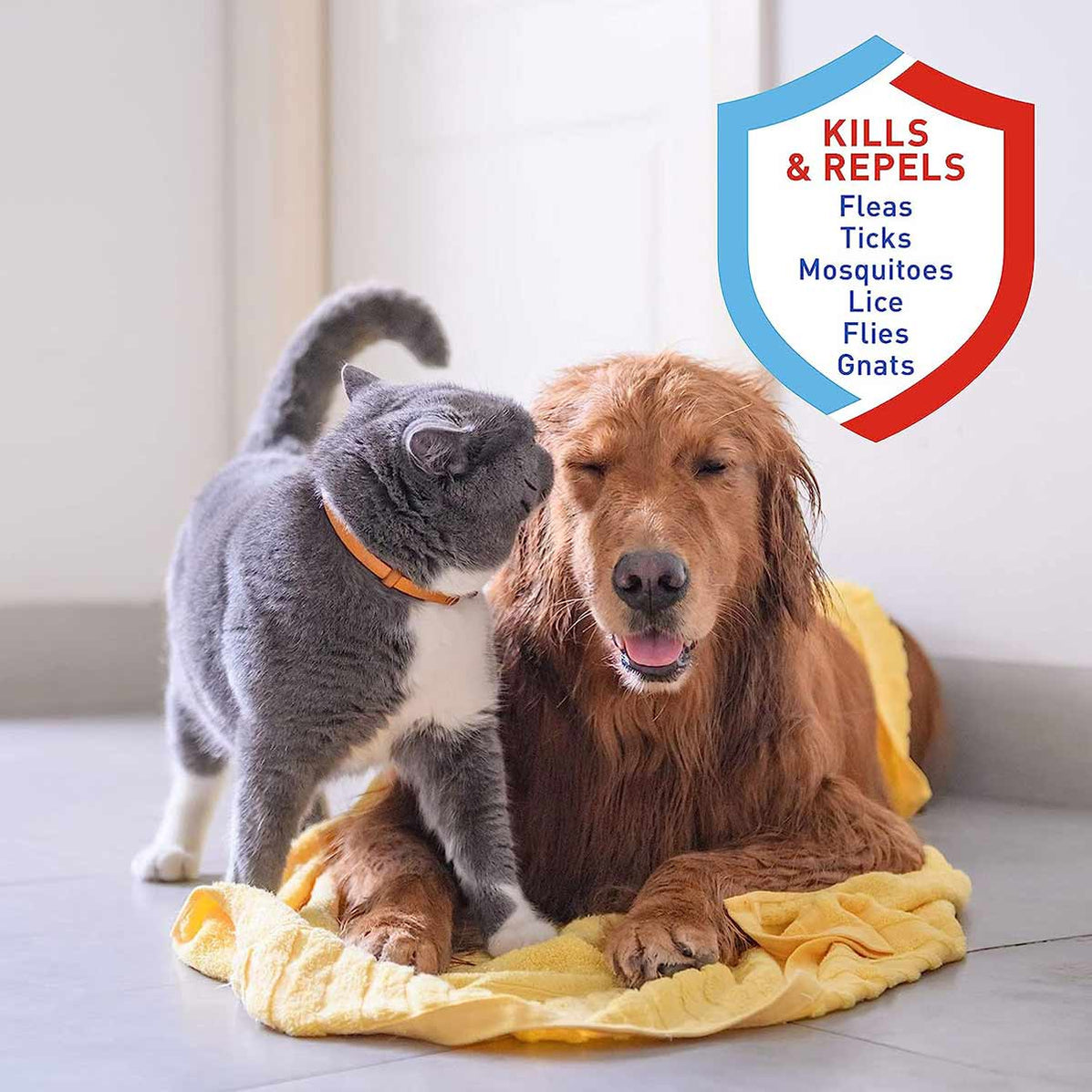 Adams Plus Pyrethrin Dip for Dogs and Cats, 4 oz — Lambert Vet Supplies