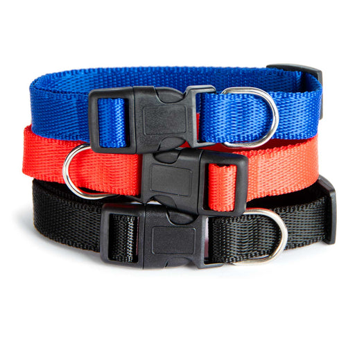 Adjustable Nylon Dog Collar, Assorted Colors, 15' - 18' - Jeffers - Dog Supplies > Dog Apparel > Dog Collars, Harnesses, & Leashes