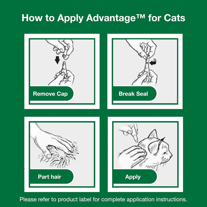 Advantage Topical Flea Protection for Cats, 2 pk - E84B - Large Cats (Over 9 lbs) - 2 pk (2 Monthly Doses) - 8
