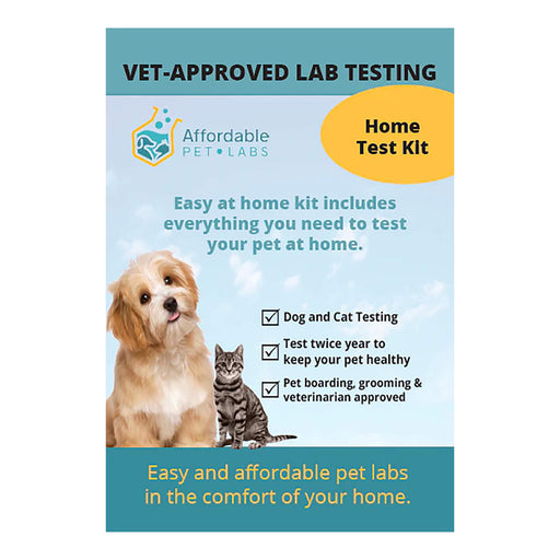 Affordable Pet Labs - Combo Complete Urinalysis & Fecal Test For Dogs, Easy Home Kit - AF21D - 2