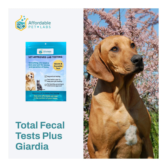 Affordable Pet Labs - Total Fecal Tests Plus Giardia For Dogs & Cats, Easy Home Kit - AF211 - 2
