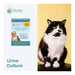 Affordable Pet Labs - Urine Culture For Cats, Easy Home Kit - AF217 - 1