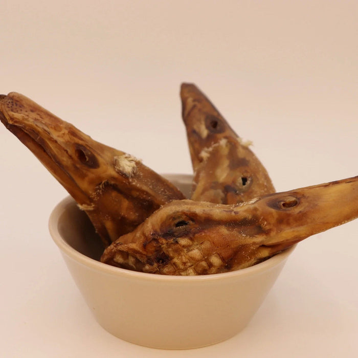 All - Natural Duck Head Dog Chews – High Protein, Single Ingredient, Made in USA - GFFA8 - Duck - 8 ct - 6