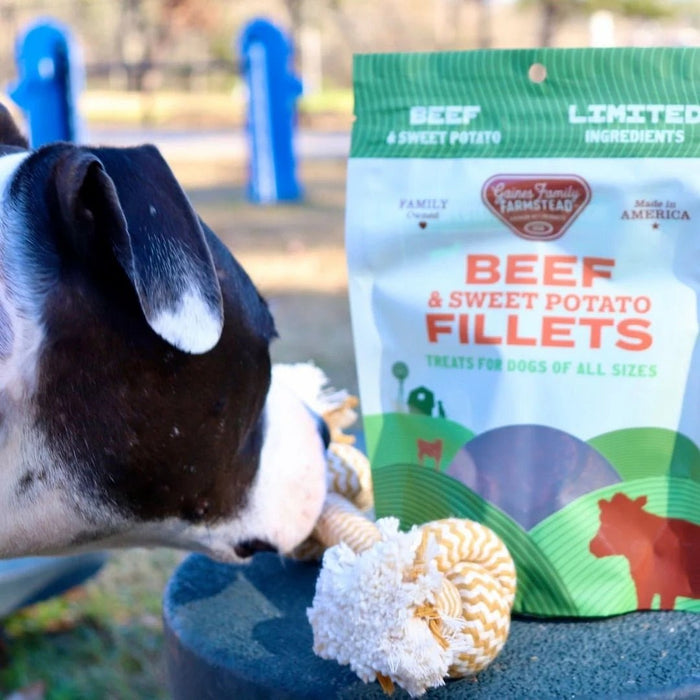 All Natural Meat & Sweet Potato Fillets Dog Treats – Limited Ingredient, Made in USA - GFFT - 8 oz - Beef and Sweet Potato - 16