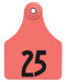 Allflex Global Numbered Ear Tags (Large), 25 count - Jeffers - Farm & Ranch Supplies > Identification & Ear Tags