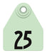 Allflex Global Numbered Ear Tags (Medium), 25 count - Jeffers - Farm & Ranch Supplies > Identification & Ear Tags