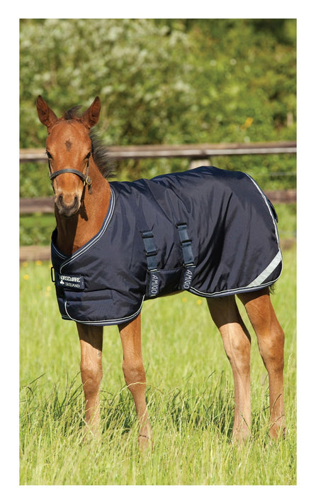 Amigo 600D Foal Blanket, 200 gram, Medium Weight - FO05 - Navy/Navy/Silver - 48 in - 2