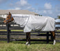 Amigo Bug Rug Plus Fly Sheet - FO37Y - Silver - 66" - 1