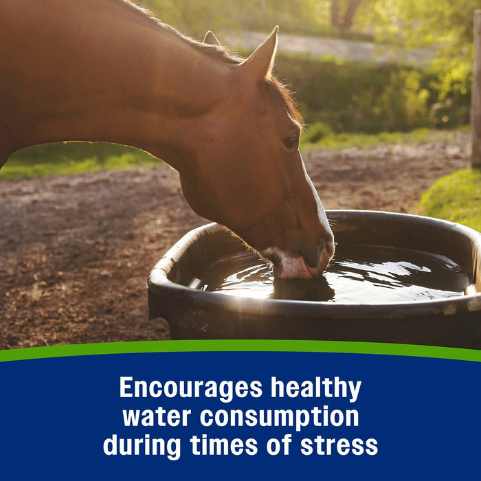 Apple Elite Paste Electrolyte, 60 cc - FABX - 6