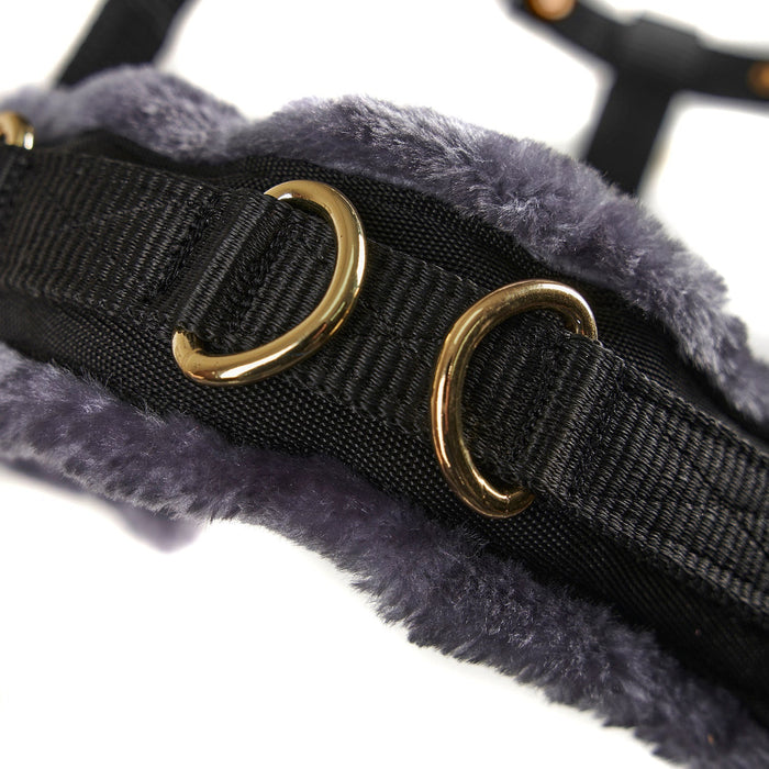 Arma Fleece Lined Lunge Cavesson – Adjustable Nylon Training Cavesson for Horses - SEP26V - Full - Black - 4