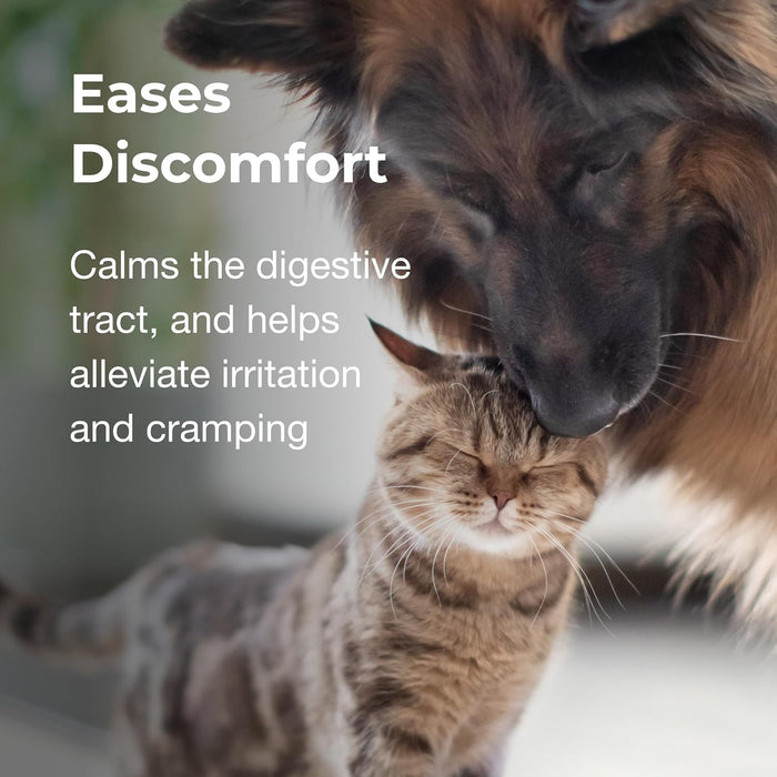 PET Pectillin, 4 oz – Diarrhea Relief for Cats and Dogs with Pectin & Kaolin