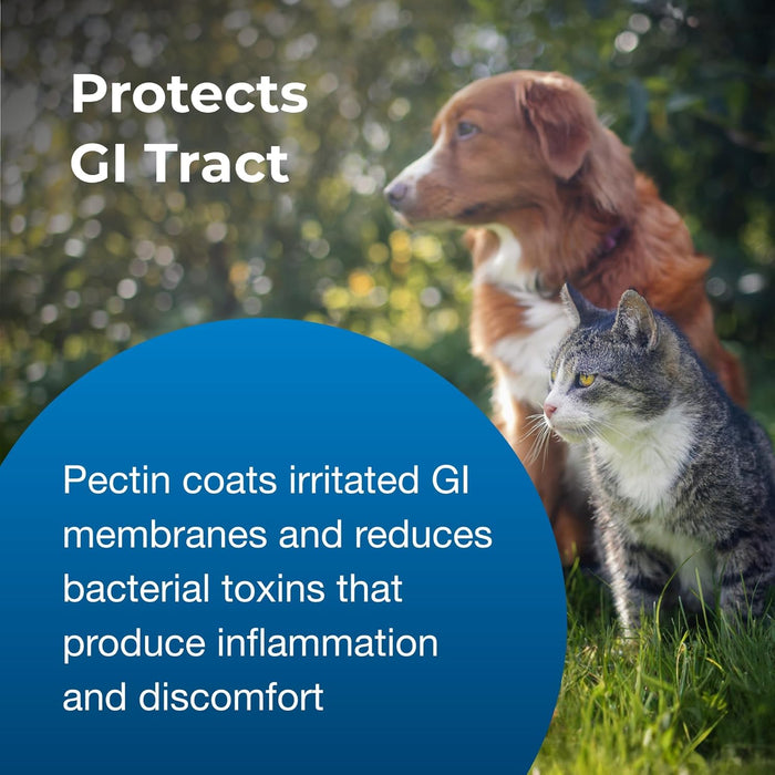 PET Pectillin, 4 oz – Diarrhea Relief for Cats and Dogs with Pectin & Kaolin