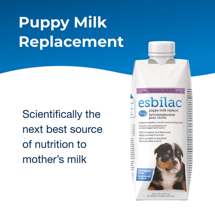 PetAg Esbilac Puppy Milk Replacer Liquid  Suplement Ready-to-Feed Formula with Vitamins 16 fl-oz Size 16 oz