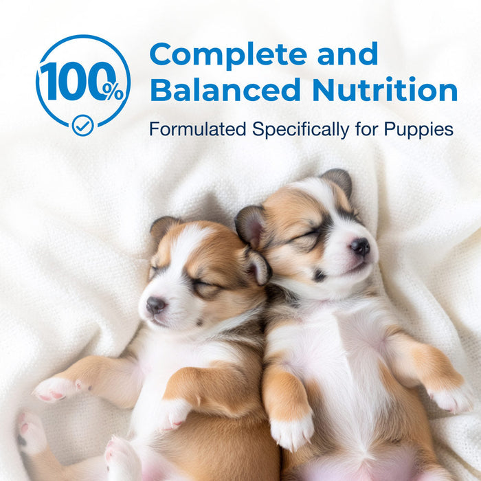 PetAg Esbilac Puppy Milk Replacer Liquid  Suplement Ready-to-Feed Formula with Vitamins 16 fl-oz Size 16 oz