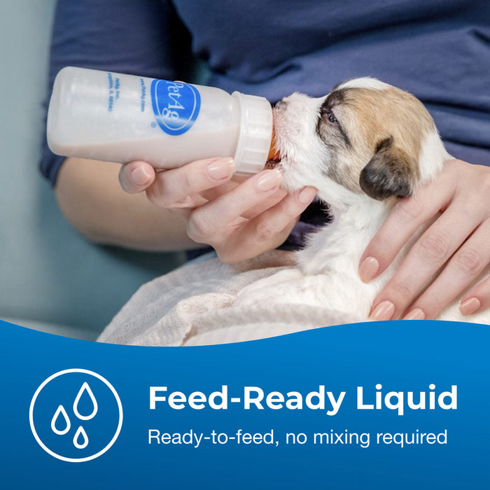 PetAg Esbilac Puppy Milk Replacer Liquid  Suplement Ready-to-Feed Formula with Vitamins 16 fl-oz Size 16 oz