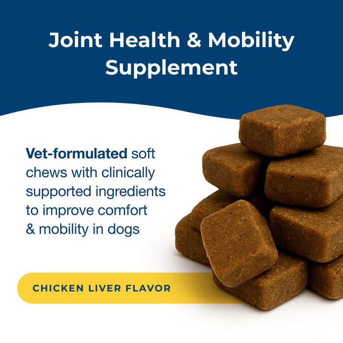 PetAg Dyne Soft Chews Joint Health & Mobility Chicken Liver Flavored 45 Count Size 45 ct.