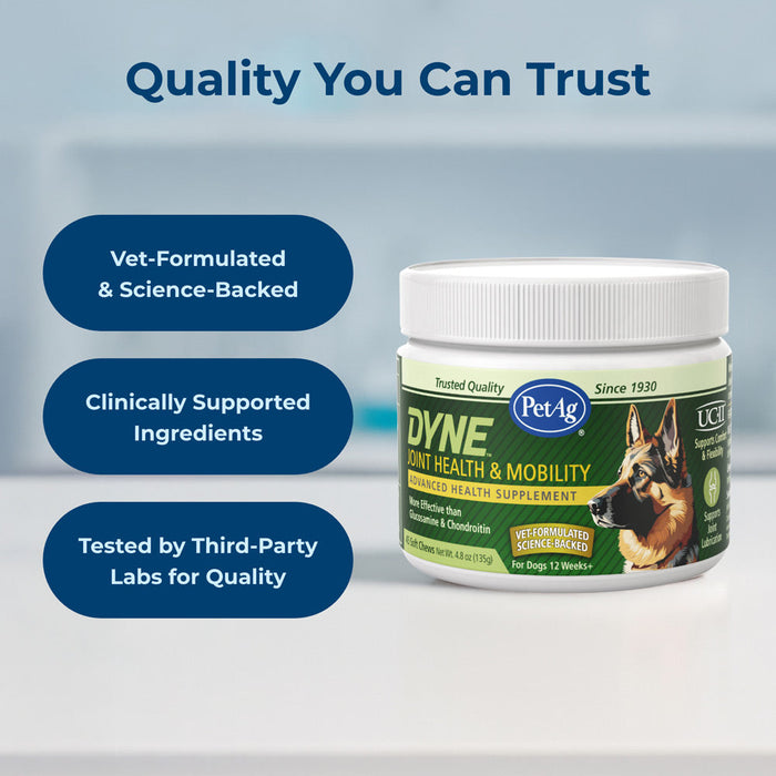 PetAg Dyne Soft Chews Joint Health & Mobility Chicken Liver Flavored 45 Count Size 45 ct.