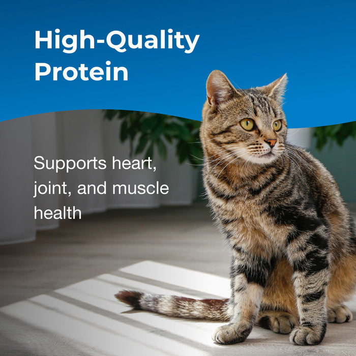 PetAg Healthy Aging Powder for Cats, 14oz, Size 14 oz.